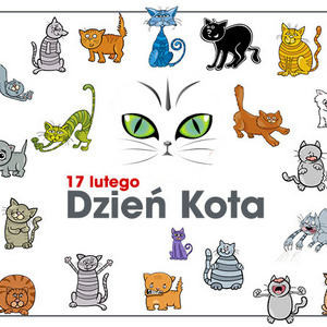 Dzień Kota w bibliotece