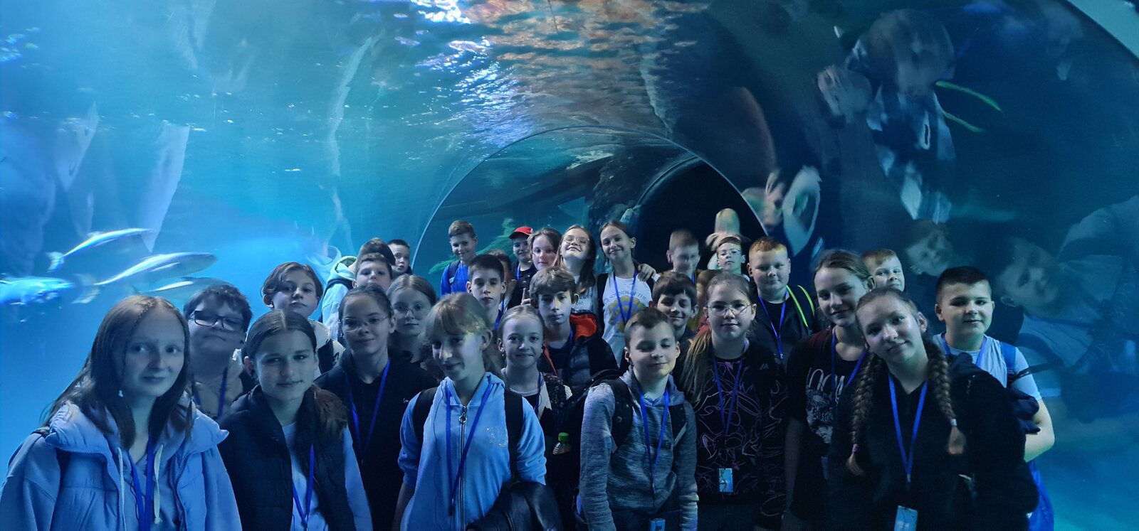 Bliskie spotkanie z Afryką