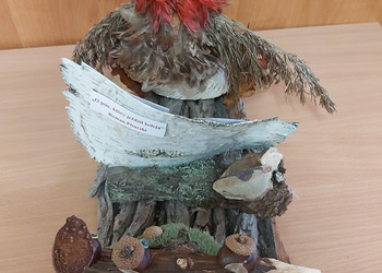 II miejsce - Franciszek Jędrzejczak