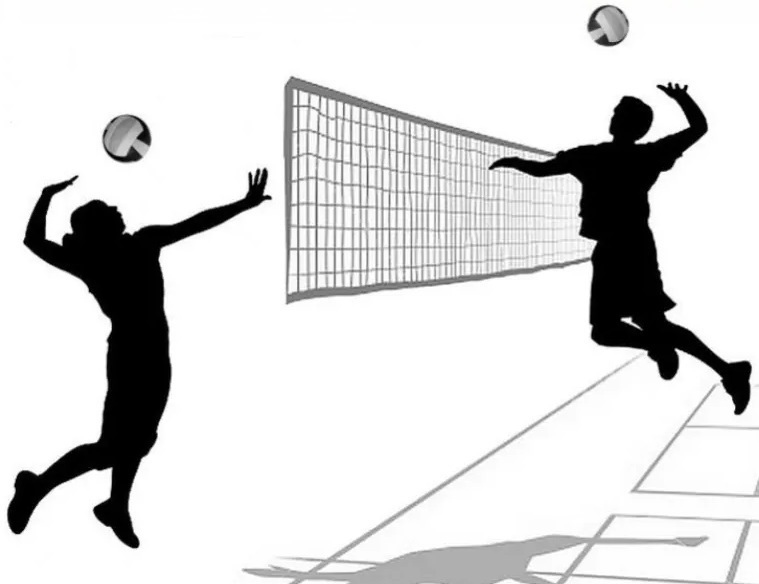Osiągnięcia sportowe