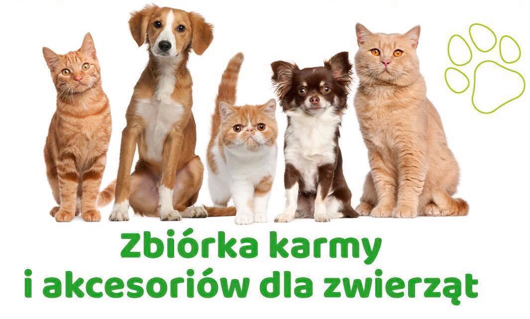 Zbiórka karmy