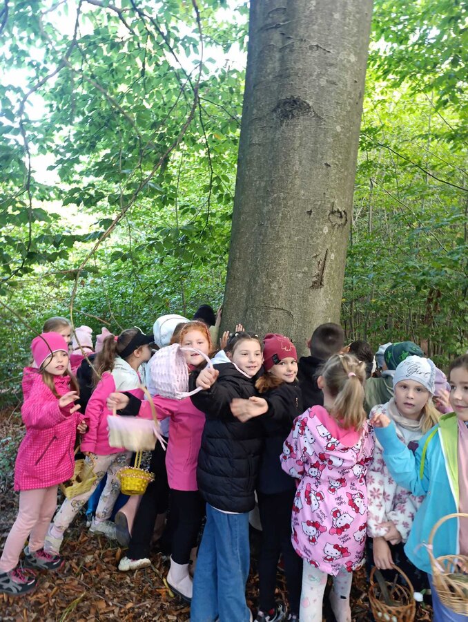 Pierwszaki w lesie na lekcji przyrody